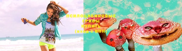 эйфоретик Алзамай