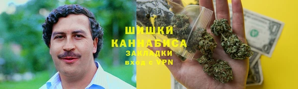 дмт Алексин