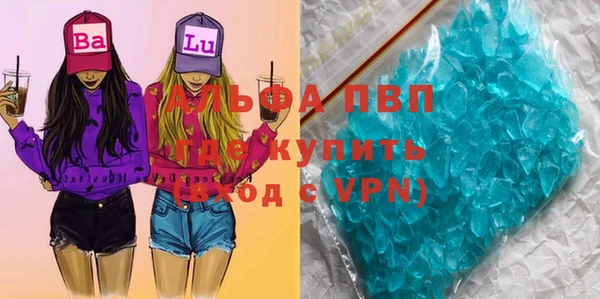 эйфоретик Алзамай