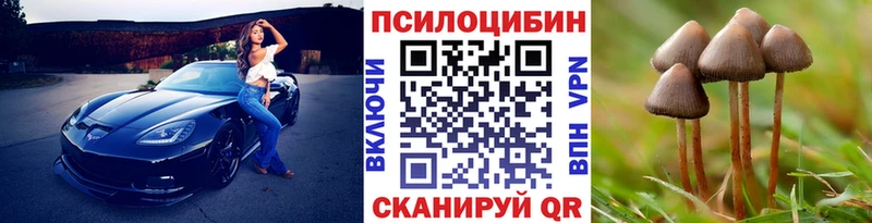 Галлюциногенные грибы Psilocybe закладка Мирный